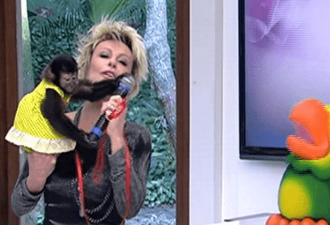 Ana Maria Braga