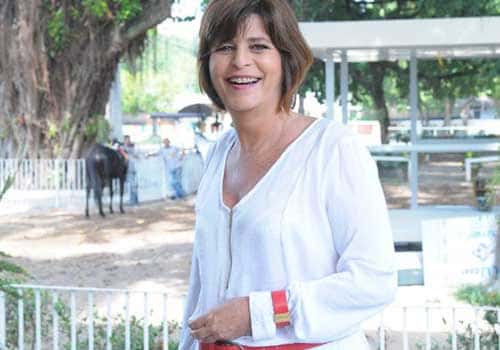 A autora de novelas Cristianne Fridman, (Foto: Divulgação)