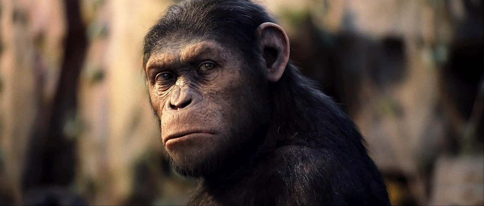 Planeta dos Macacos