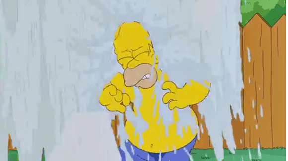 Homer Simpson se molhou mais do que devia