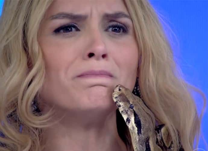 monica-iozzi-cobra