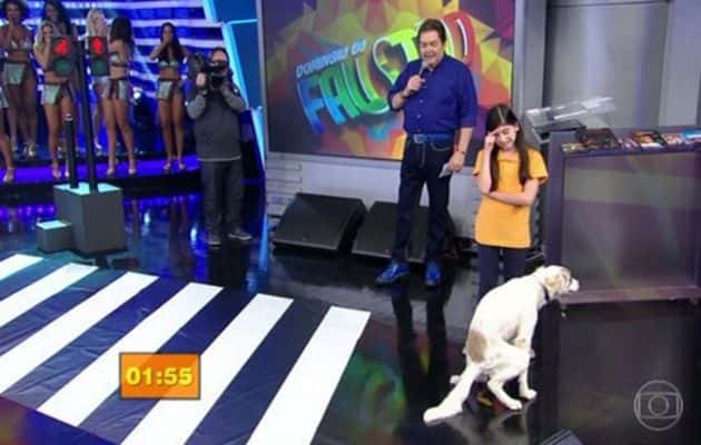 (Foto: Reprodução)