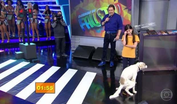 "Parabéns pra quem criou o show que foi bem superior ao que se imaginava"