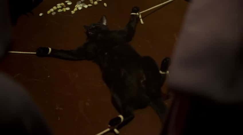Gato preto é torturado em cena (Foto: Reprodução)