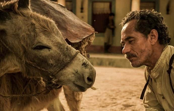 Chico Diaz foi indicado por trabalho em "Velho Chico". (Foto: Divulgação/TV Globo)