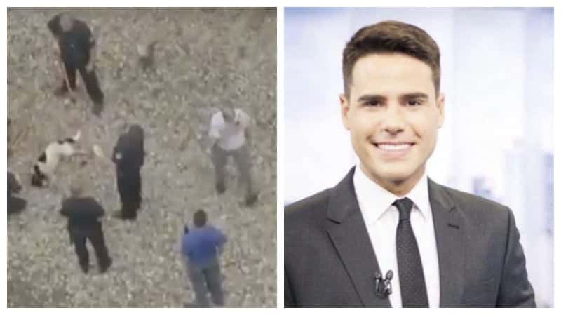 Luiz Bacci em resgate de caozinho (Foto montagem: TV FOCO)