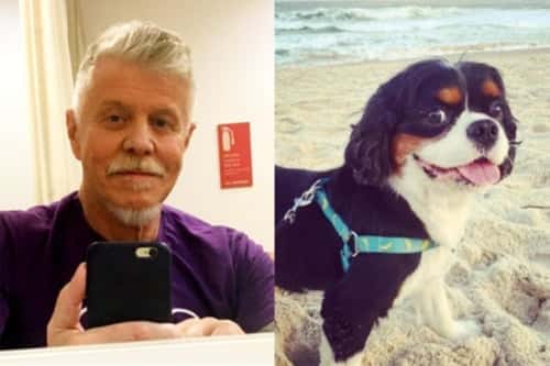 O cachorrinho vai deixar falta para Miguel (Foto: Reprodução)