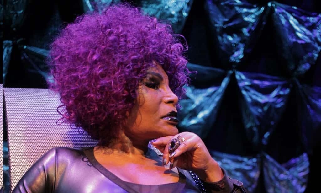 A cantora Elza Soares (Foto: Divulgação)