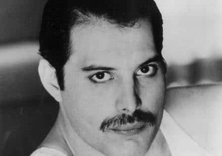 freddie