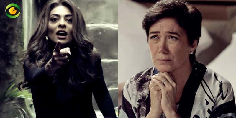 Silvana se meterá na pior enrascada (Foto: Montagem/TV Foco)