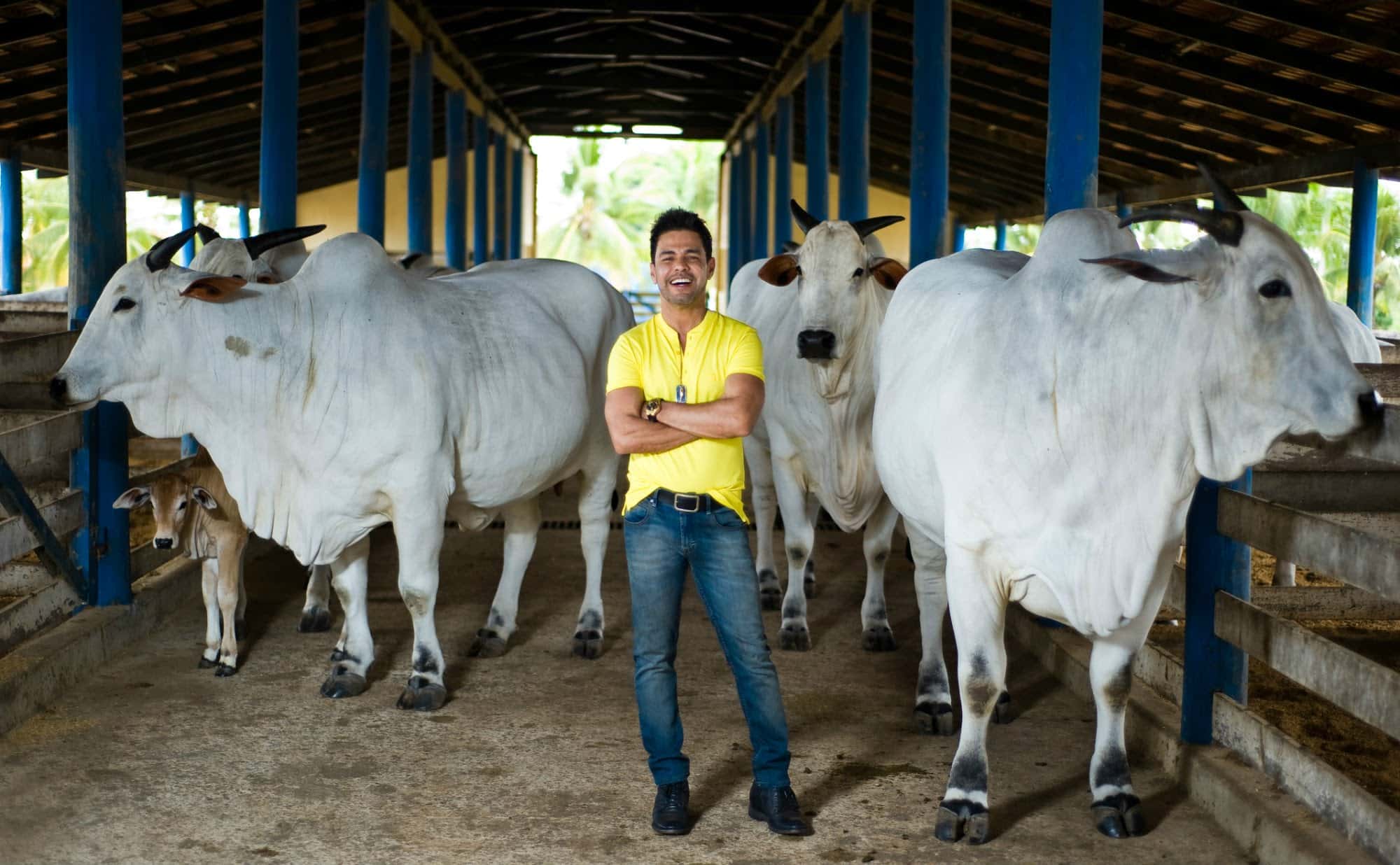 Fazenda de Zezé Di Camargo é colocada à venda (Foto reprodução)