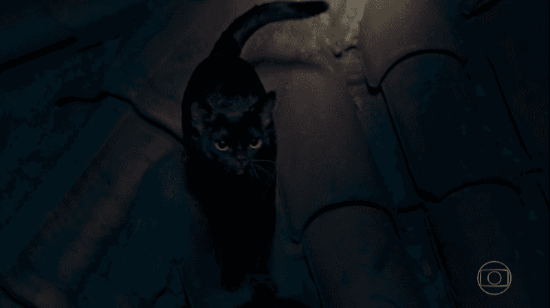 O gato León em O Sétimo Guardião (Foto: Reprodução/Globo)