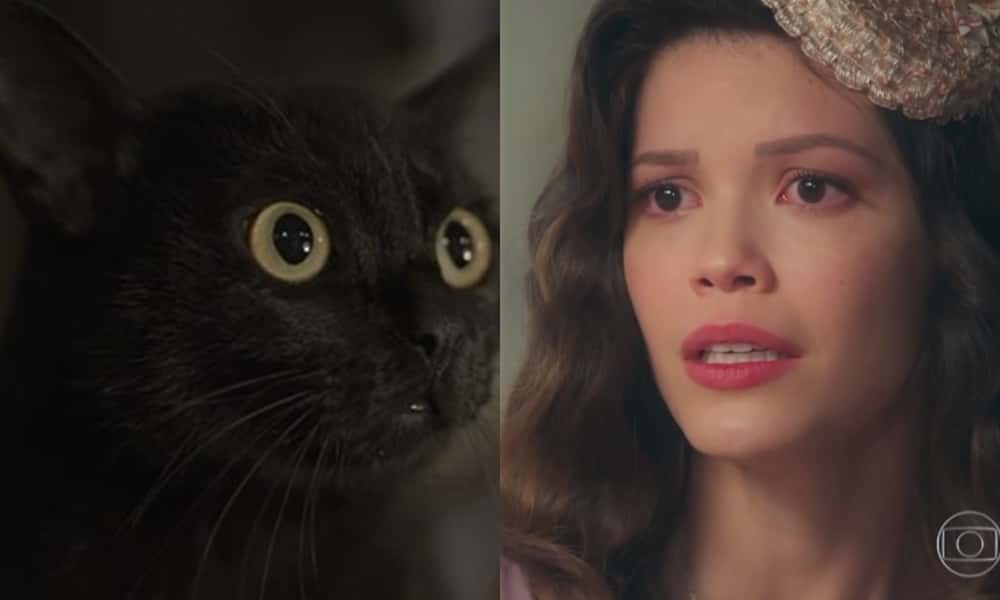 leon e cris