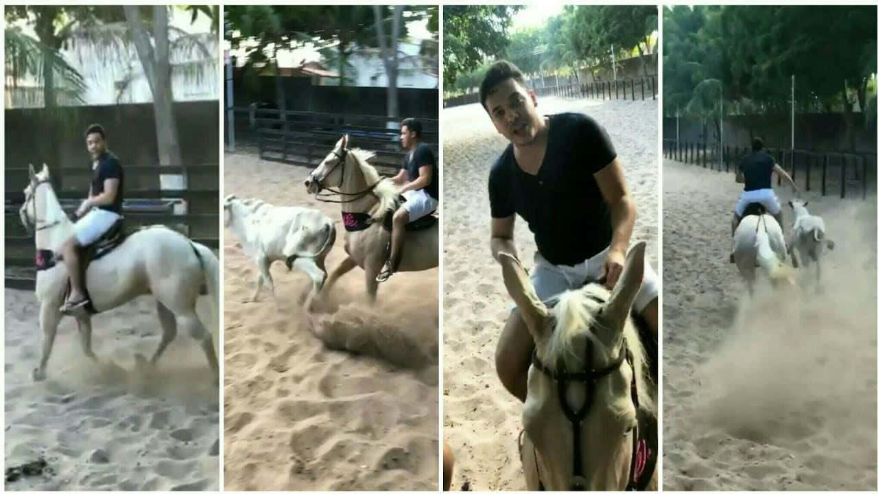 O cantor gosta de cavalos e éguas. (Foto: Reprodução)