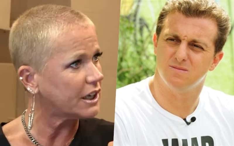 Xuxa Meneghel e Luciano Huck são grandes amigos (Foto: Montagem/TV Foco)