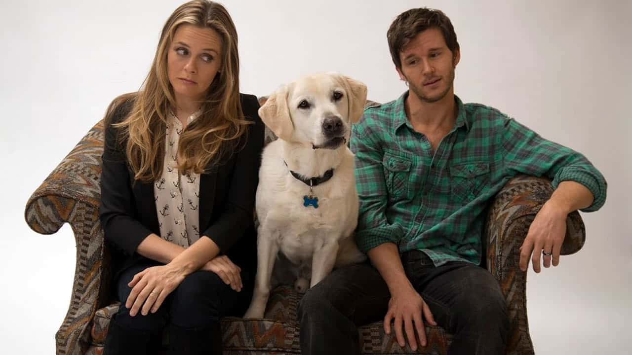 Filme Um Cachorro Para Dois vai ser exibido na Sessão Da Tarde (Foto: Reprodução)