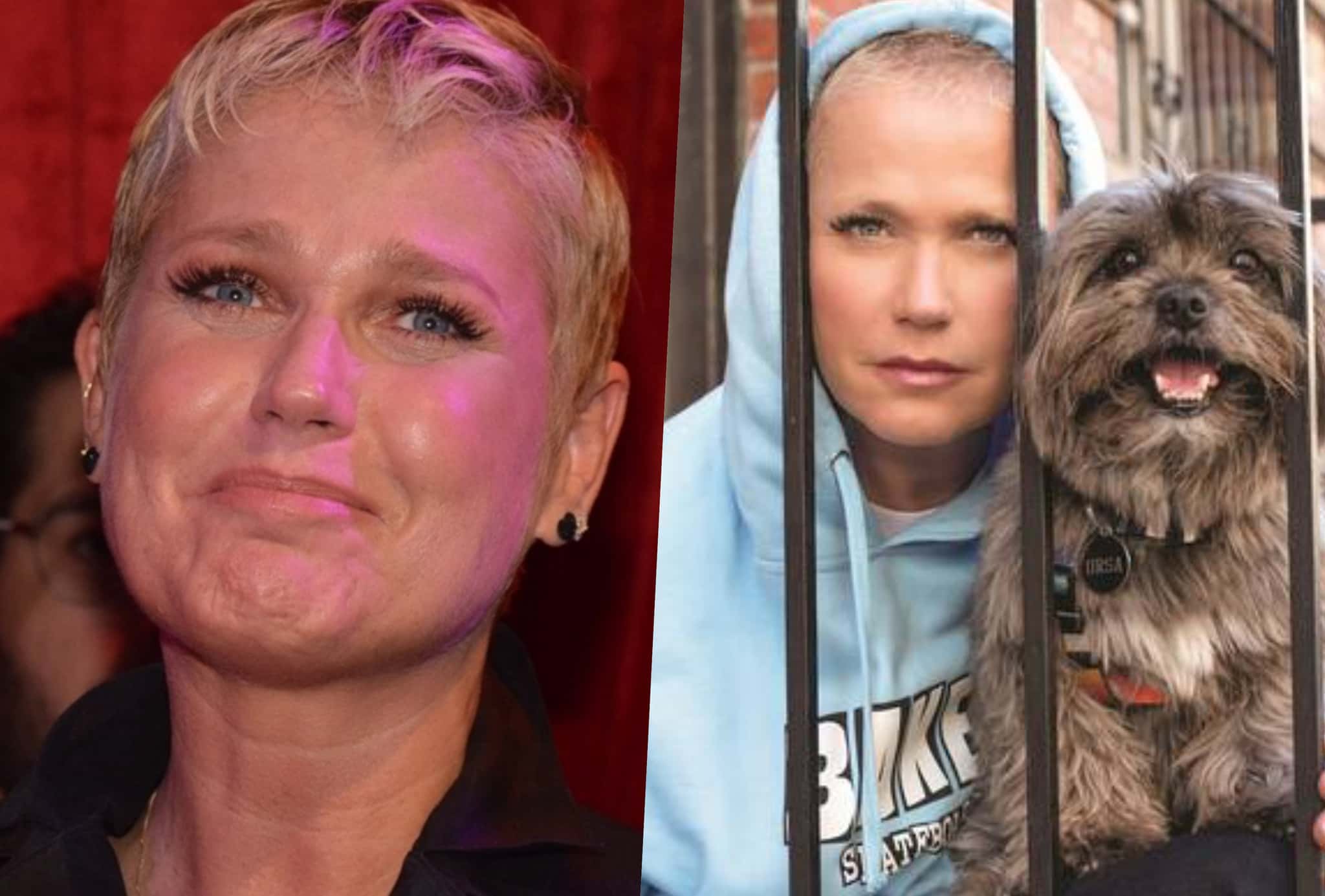Xuxa Meneghel abandona o Brasil e fala sobre polêmicas (Foto montagem)