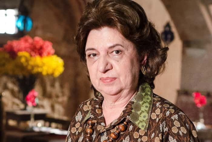 Walderez de Barros (Foto: Reprodução / TV Globo)