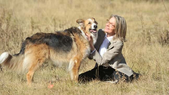 diane_keaton_darling_companion