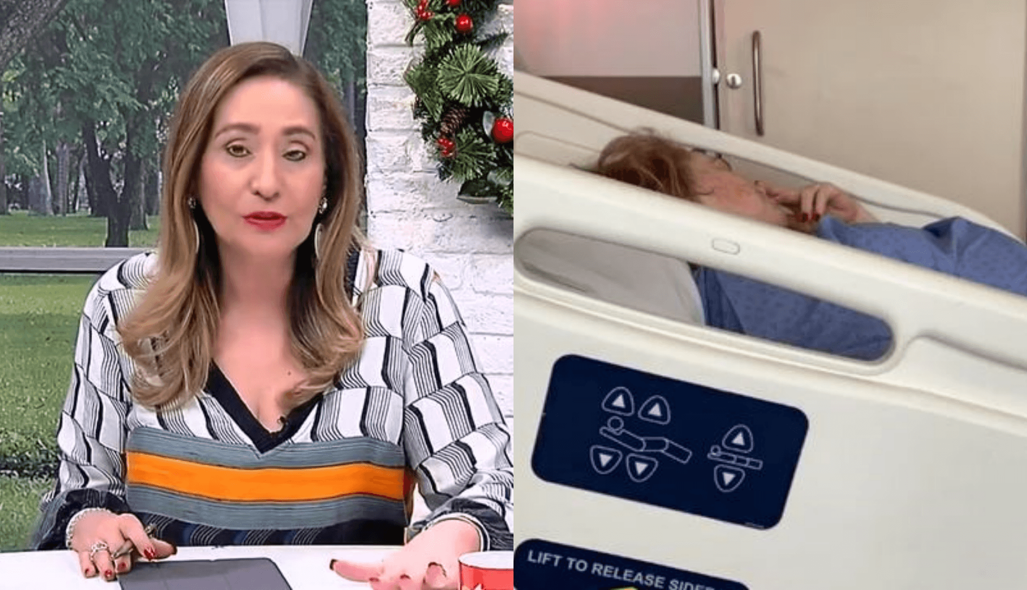Sonia Abrão leva sua mãe para hospital (Foto: Montagem TV Foco)