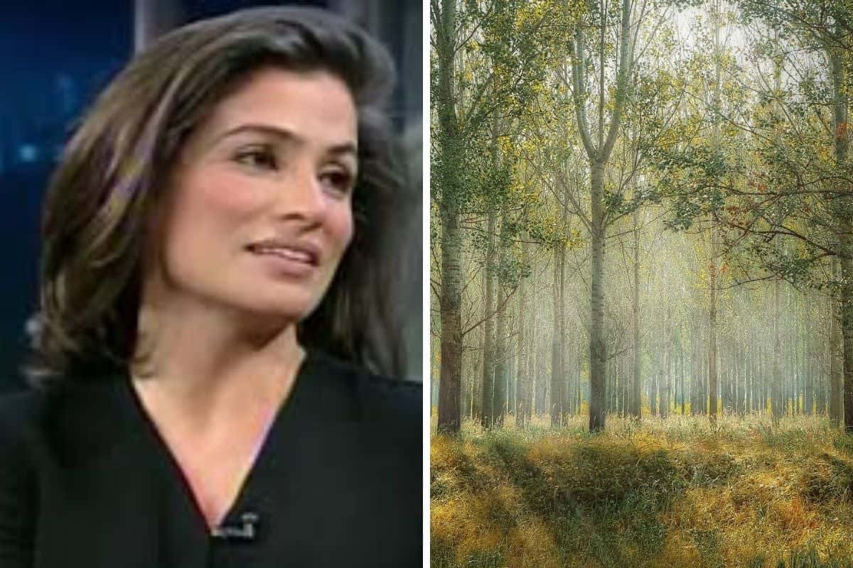 A apresentadora do JN, Renata Vasconcellos pegou todo mundo de surpresa ao surgir caminhando em uma floresta de mata fechada, quando de repente avistou um animal - Monatgem: TV foco