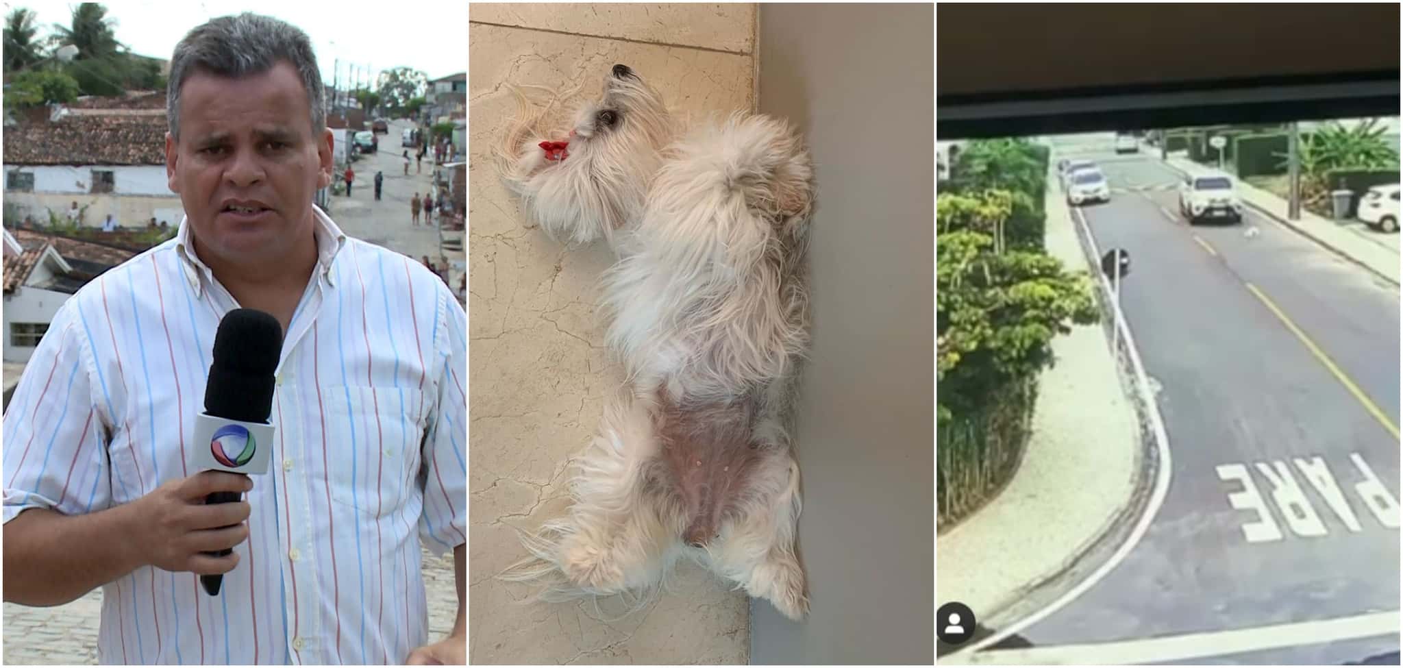 Mofi Paraíba foi acusado de atropelar e matar cadela em condomínio (Reprodução)