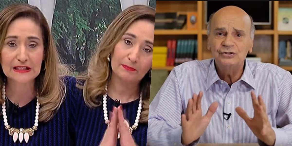 Sonia Abrão, assim como o Brasil, ficou chocada, ao descobrir o que presidiaria do Fantástico fez (Foto montagem)