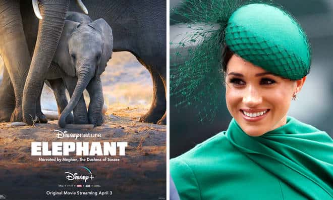 Meghan Markle Disney Plus tv foco