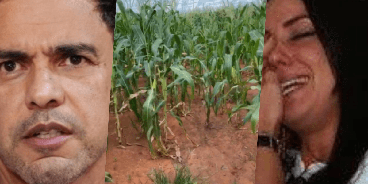 Graciele Lacerda resolveu mostrar Zezé no meio de matagal (Foto montagem: TV Foco)