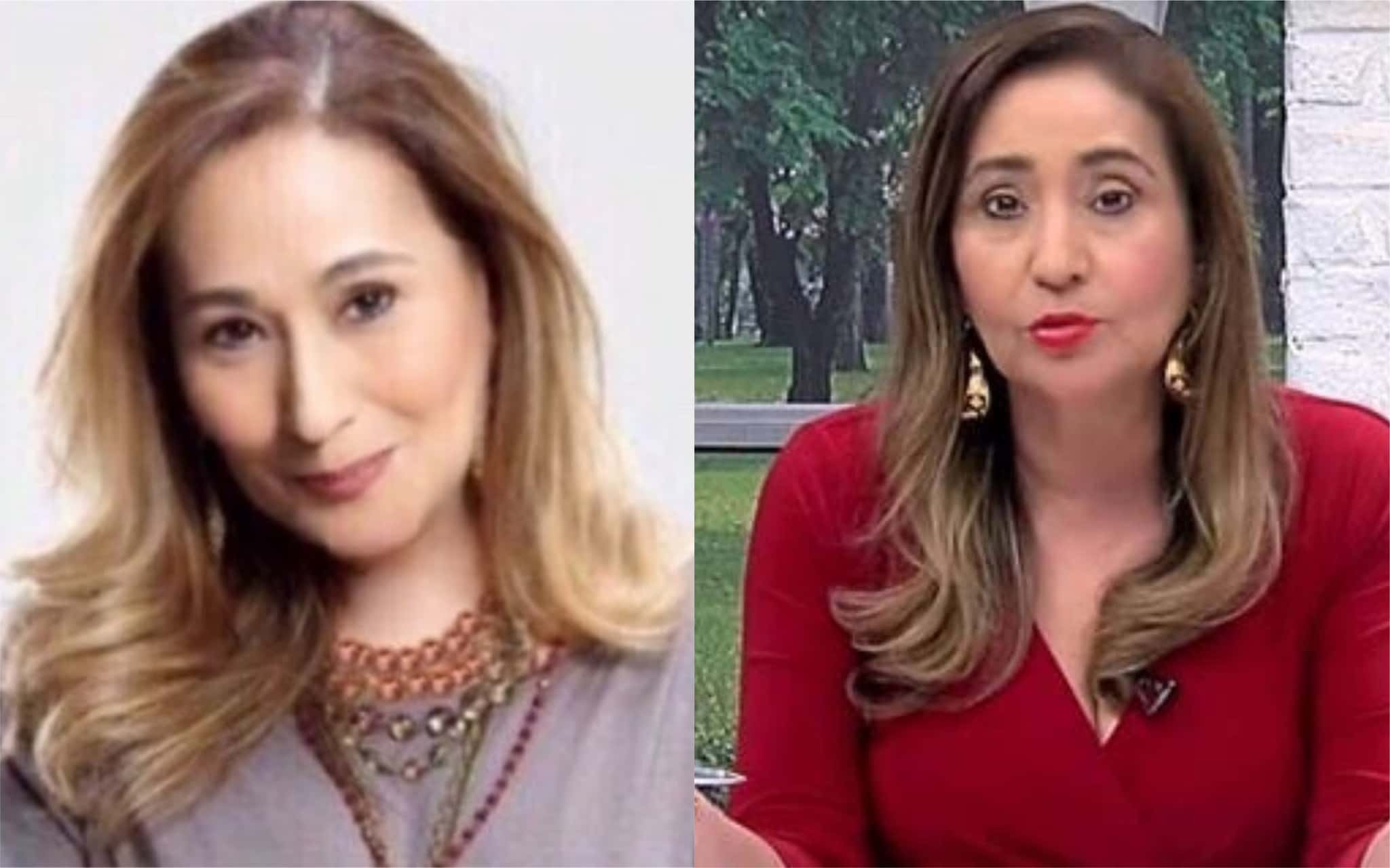 Sonia Abrão desabafou sobre golpe usando seu nome e de seu programa (Foto: Divulgação / TV Foco)