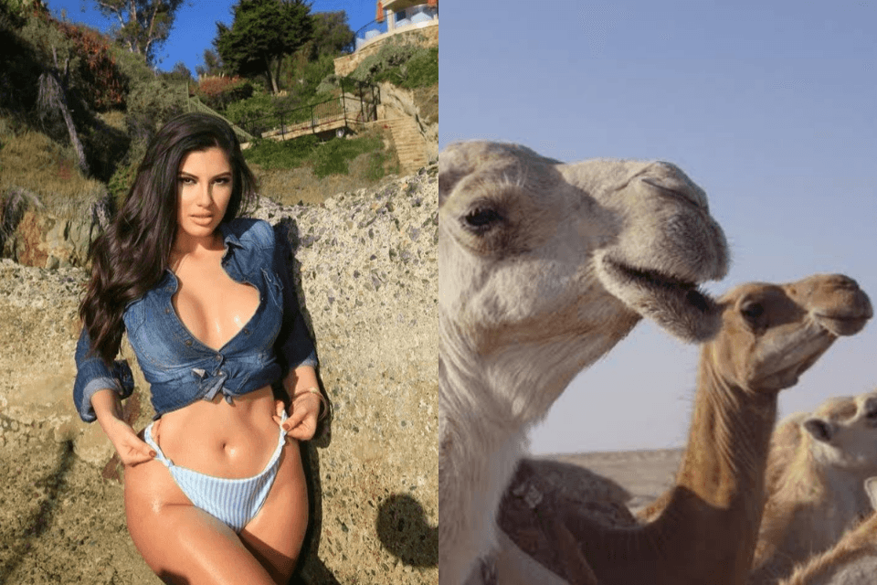 Modelo é pedida em casamento em troca de 200 camelos (Foto: Reprodução)