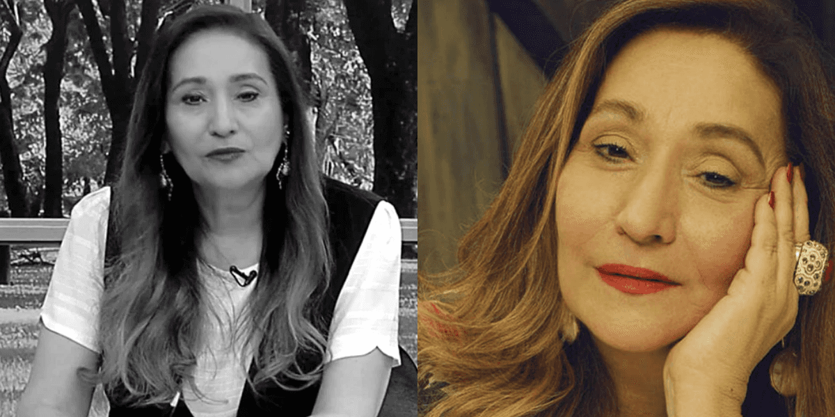 Sonia Abrão tem identidade de possível namorado revelada (Foto: Montagem)