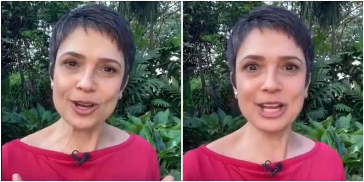 Sandra Annenberg (Foto: Reprodução)