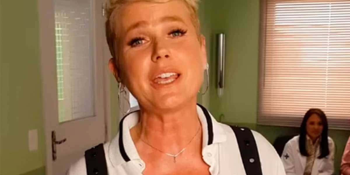 Xuxa escreveu livro infantil com personagens gays (Reprodução)