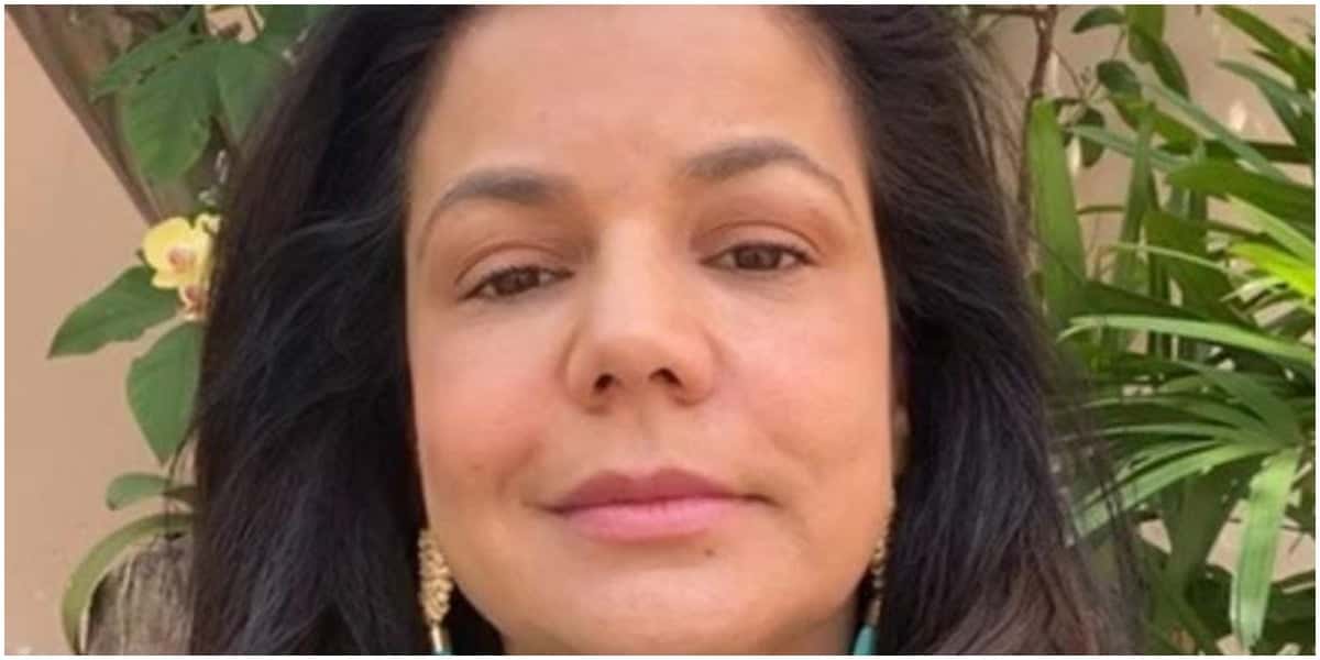 Nivea Stelmann foi atacada por abelhas (Foto: Reprodução)