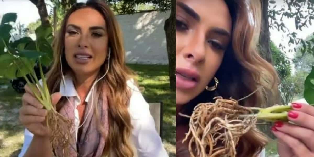 Nicole Bahls rebate memes após cuidar de planta de plástico (Foto: Reprodução)