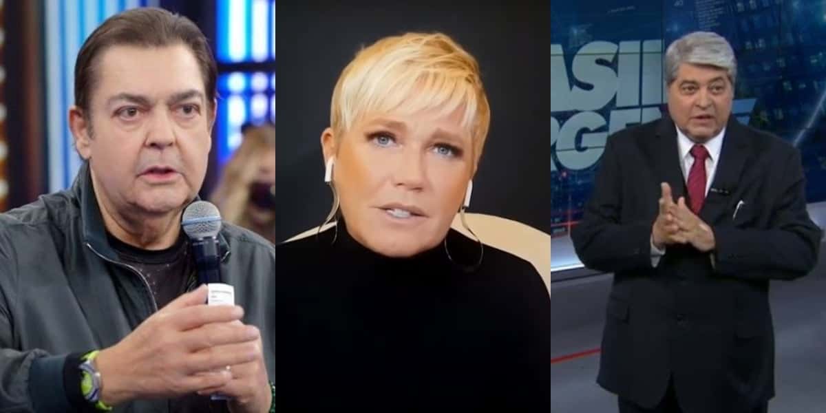 No resumo da semana tem Faustão gerando ira na Globo, Sasha falando de casamento de Sasha e Datena passando vergonha na Globo (Foto: Reprodução)