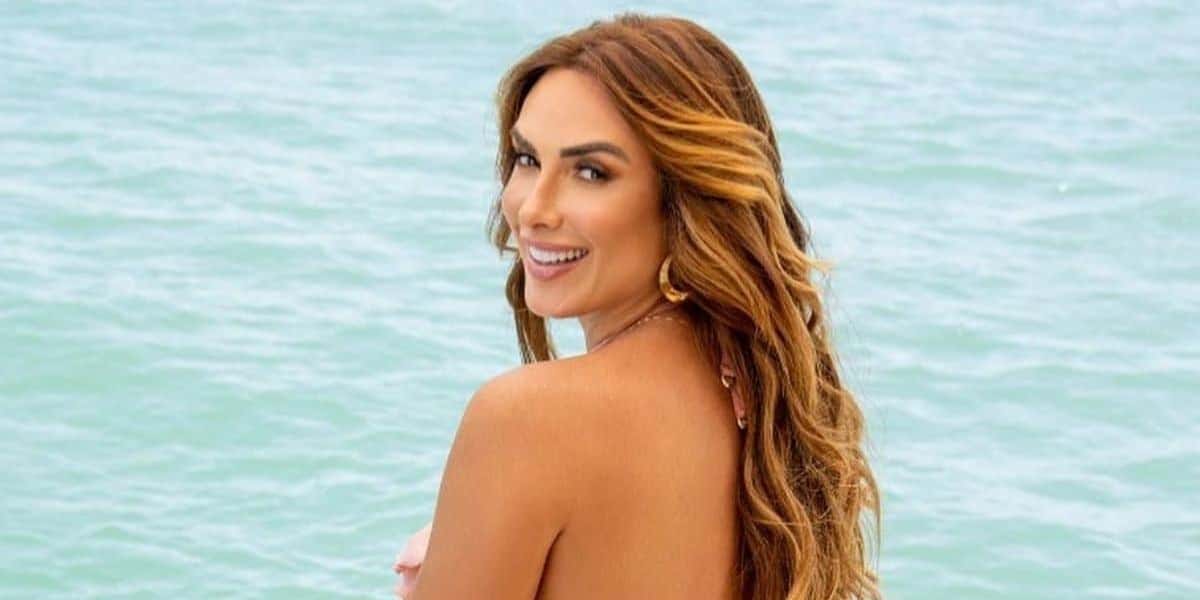 Nicole Bahls falou sobre fim de casamento com Marcelo Bimbi (Foto: Reprodução)
