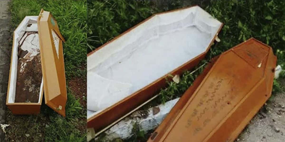 Sensitiva previu morte de famoso músico (Reprodução)