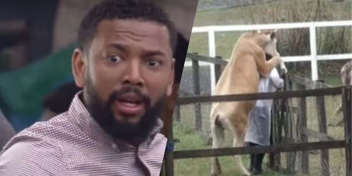 Nego do Borel foi vítima de vaca no cio (Montagem: TV Foco)