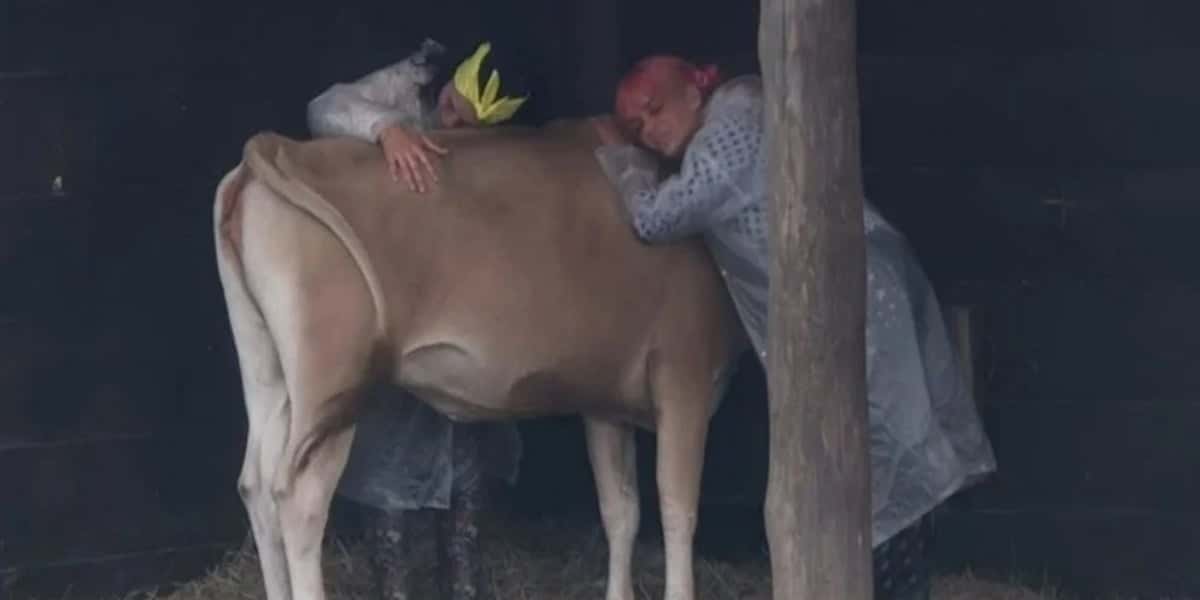 Aline Mineiro e Valentina Francavilla ficaram emocionadas com vaca em A Fazenda 13 (Foto: Reprodução)
