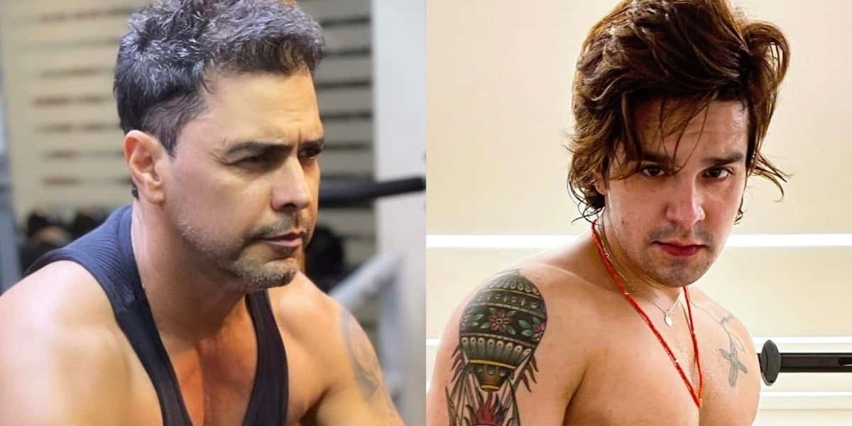 Zezé Di Camargo e Luan Santana (Foto: Reprodução)