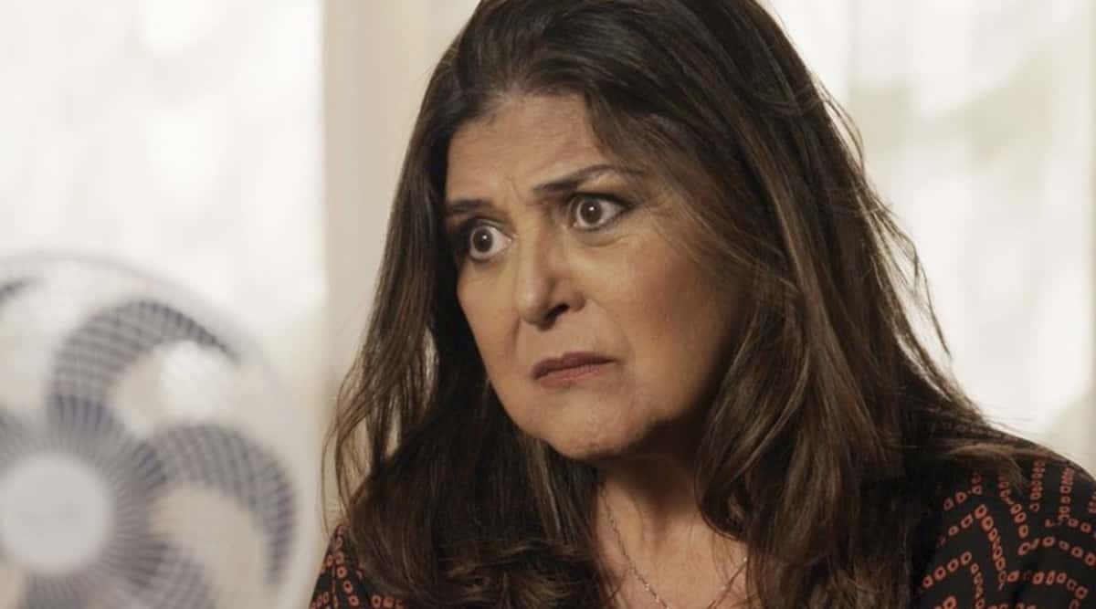 Elizangela é internada na UTI em estado grave por sequelas da Covid-19 (Reprodução/ TV Globo)