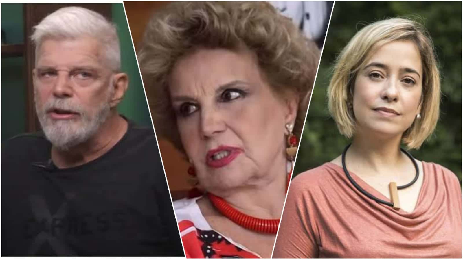 Raul Gazolla, Íris Bruzzi e Paloma Duarte - Atores não querem mais passar pela Record TV (Montagem/ Internet)