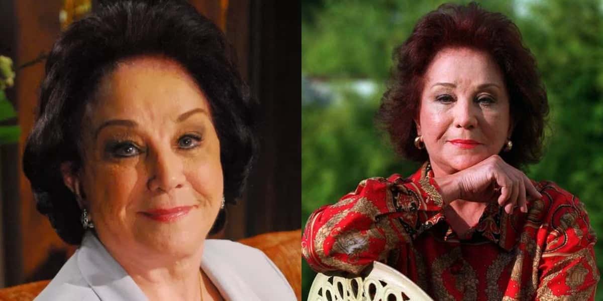 Lolita Rodrigues (Foto: Reprodução)