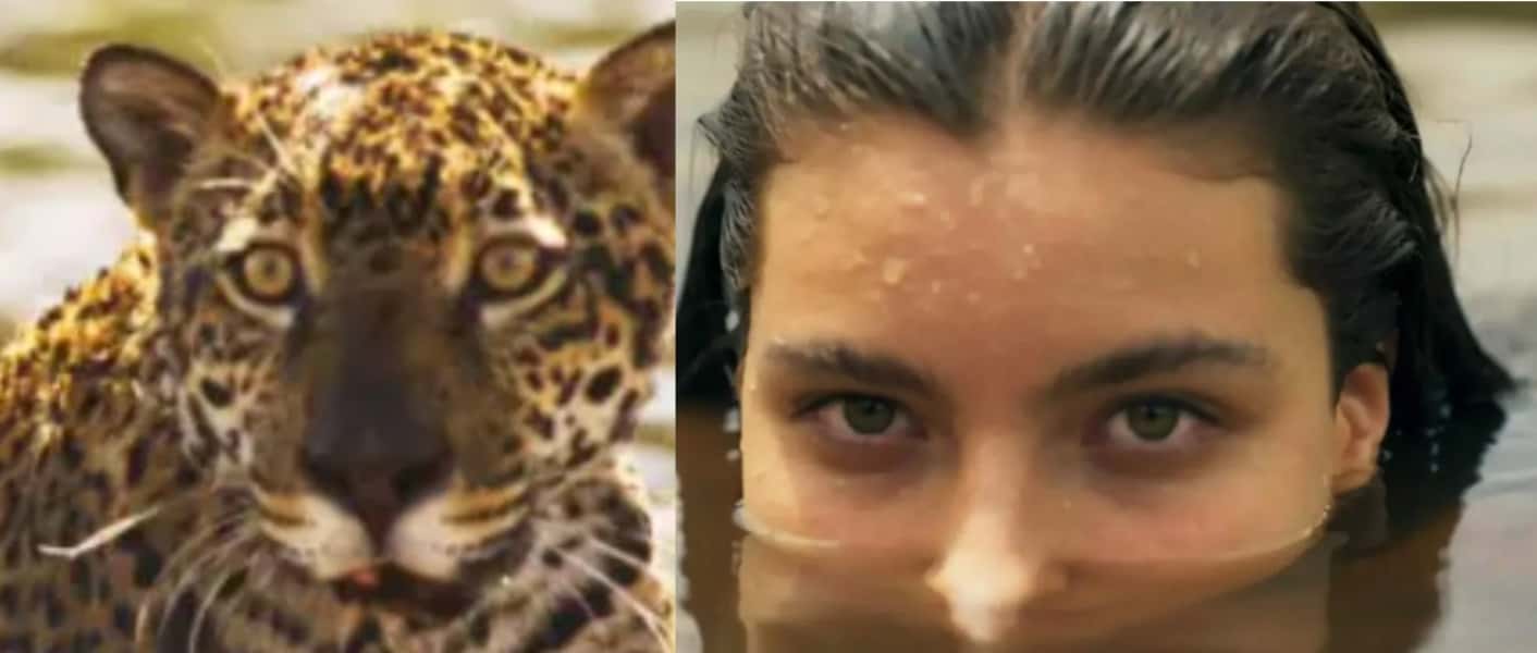 Pantanal - Juma (Alanis Guillen) vira onça novamente e faz mais uma vítima em ataque fatal: "Vou matar ocê" (Foto: Reprodução / Globo)