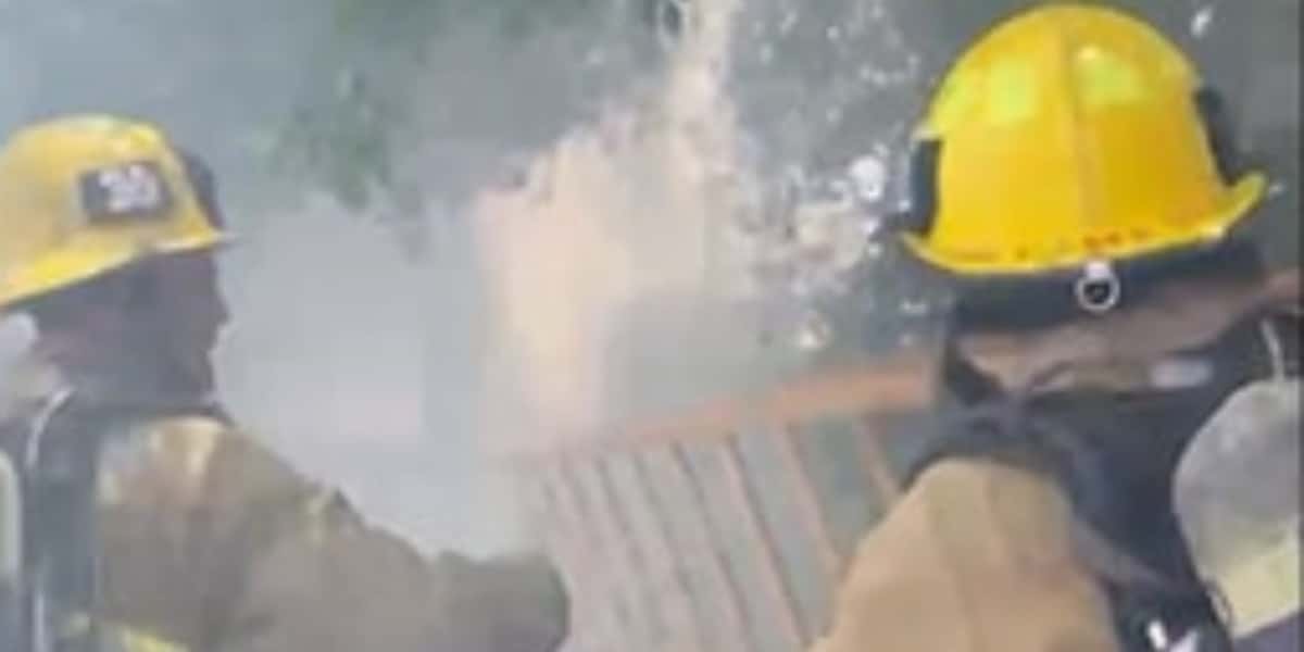 Bombeiros tentando apagar (Foto: Reprodução)