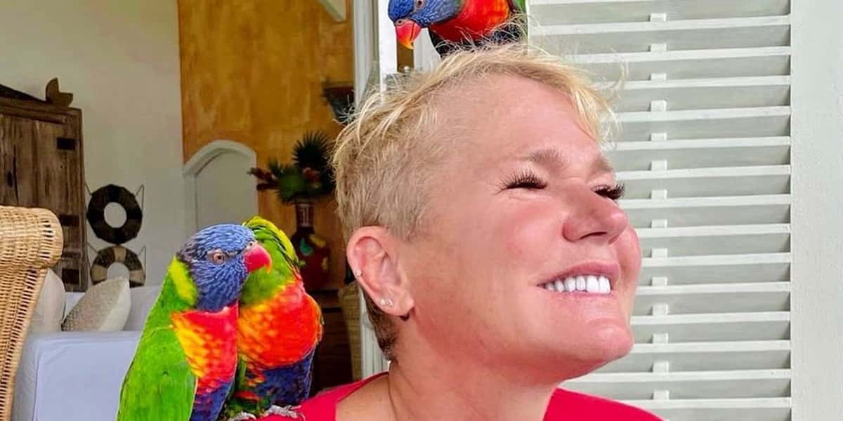 Xuxa Meneghel é defensora da causa animal (Foto: Reprodução / Instagram)