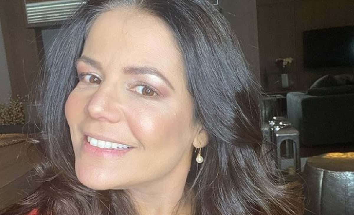 Nivea Stelmann relata que foi picada por enxame de abelhas (Reprodução)