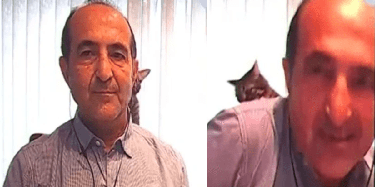 Apresentador é interrompido com tapa na cara de gato (Foto: Reprodução)